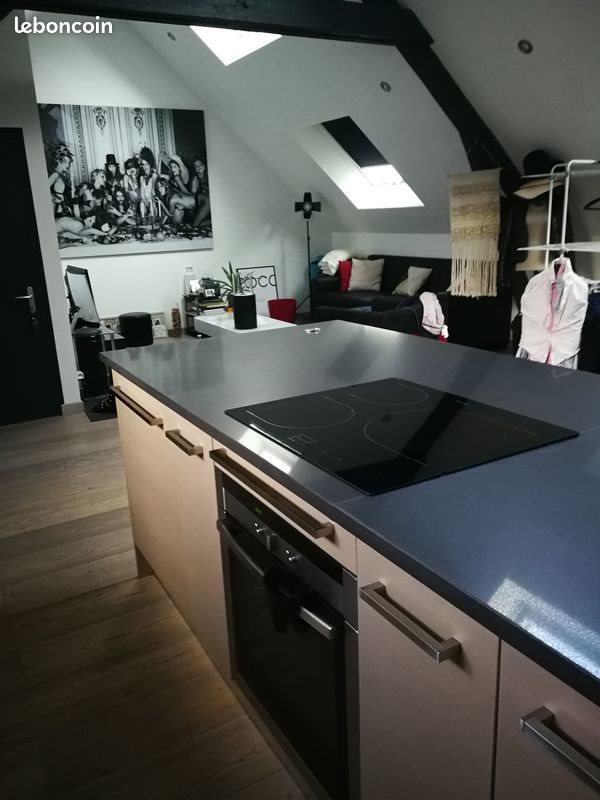 Appartement à louer, 50m², Angers