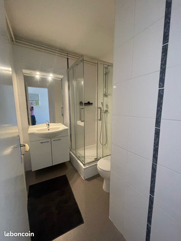 Appartement à louer, 19m², Nancy