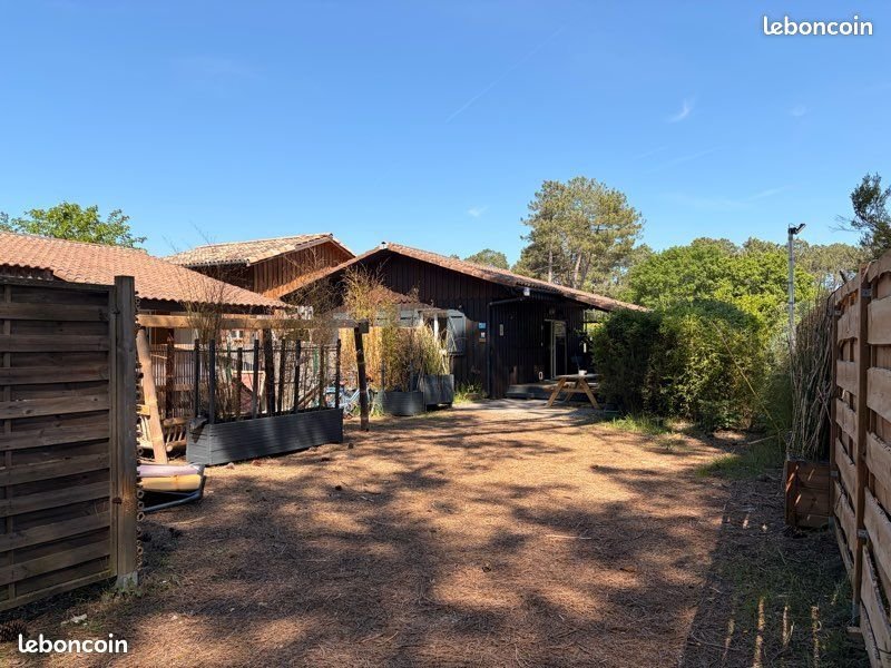 Maison à louer, 60m², Gujan-Mestras
