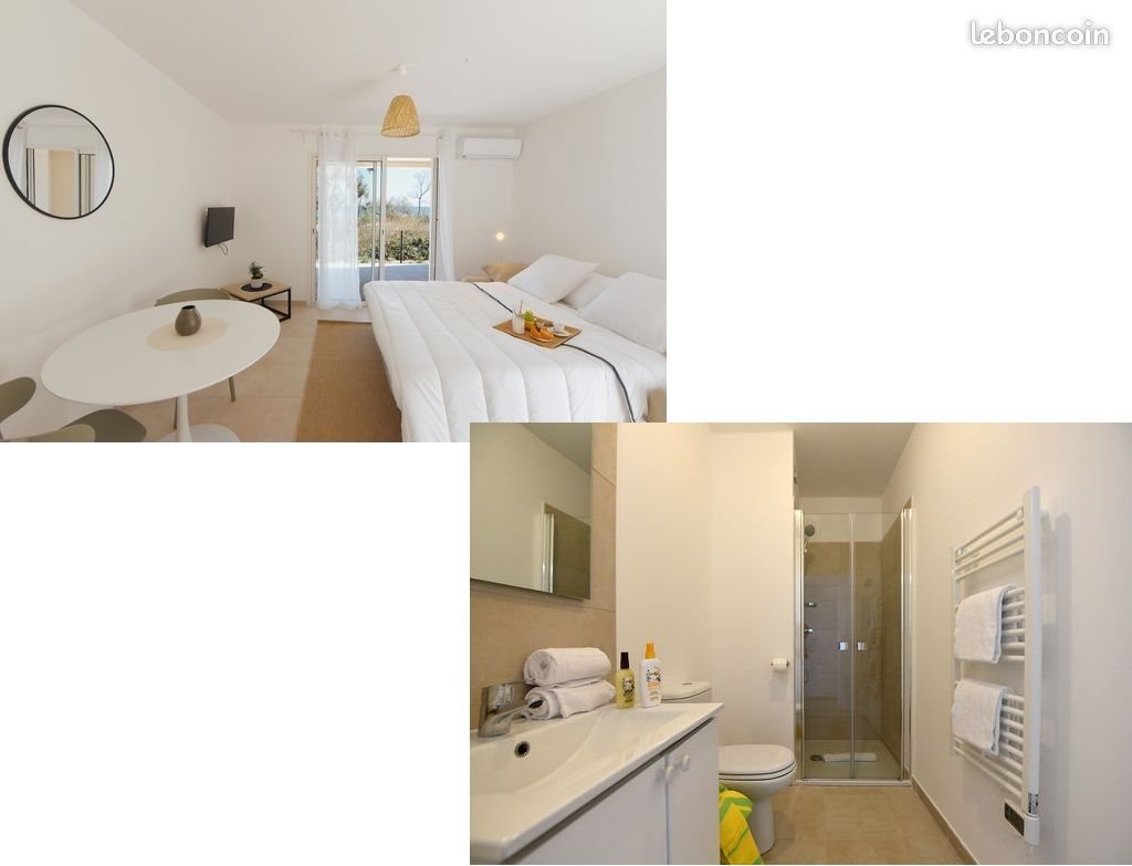 Appartement à vendre, 23m², Linguizzetta
