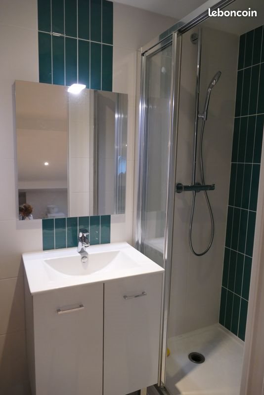 Appartement à louer, 30m², Lyon 7ème