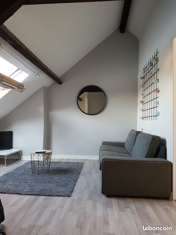Appartement à louer, 48m², Tours