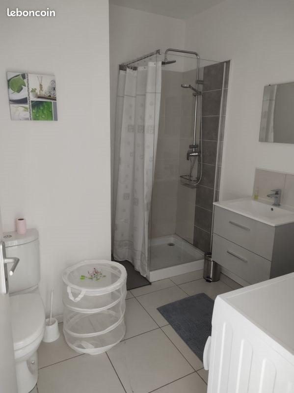 Appartement à louer, 25m², Saint-Etienne