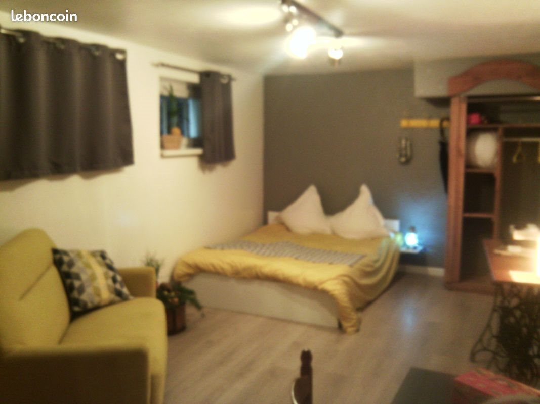 Appartement à vendre, 26m², Strasbourg