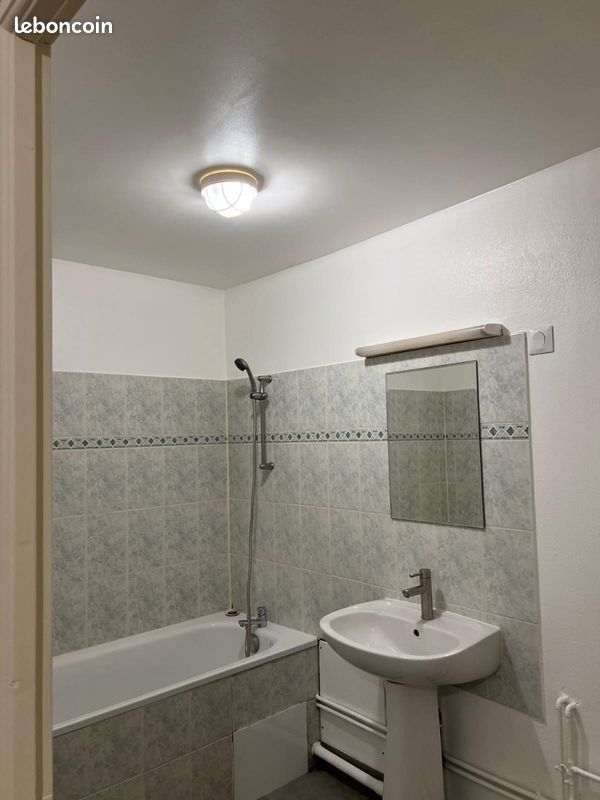 Appartement à louer, 50m², Mâcon