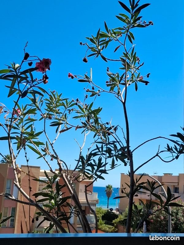 Appartement à vendre, 22m², Cavalaire-sur-Mer