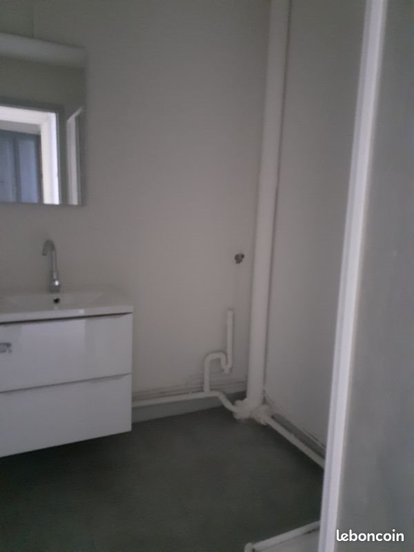 Appartement à louer, 55m², Saint-Étienne