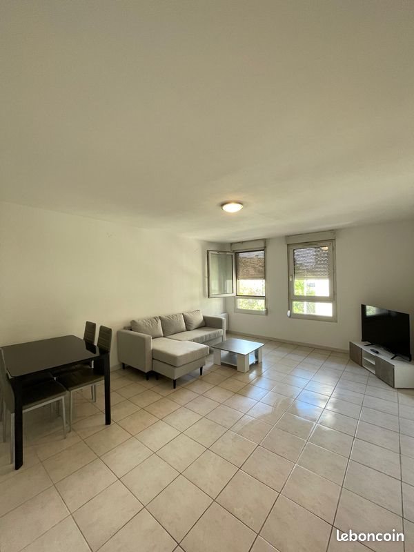 Appartement à louer, 50m², Lyon 7ème