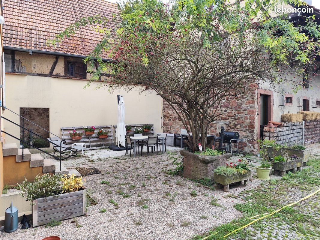 Maison à vendre, 206m², Kertzfeld