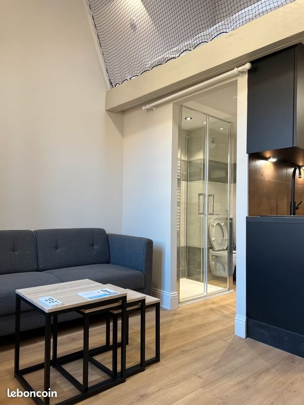 Appartement à louer, 20m², Albi