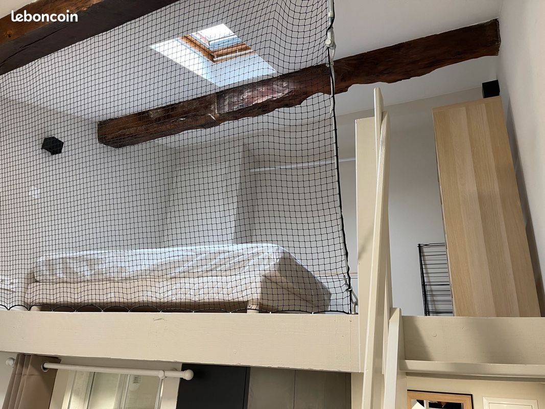 Appartement à louer, 20m², Albi