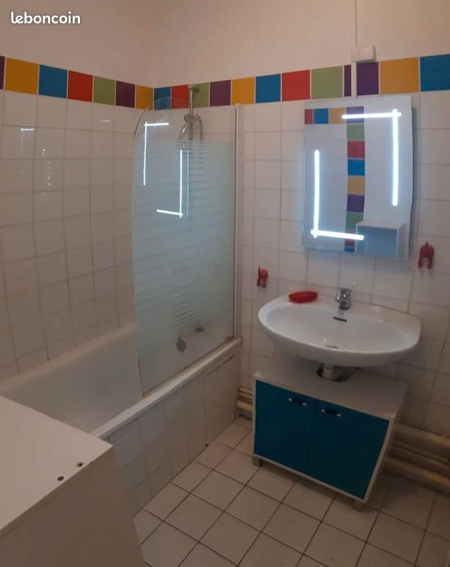 Appartement à louer, 43m², Villeurbanne