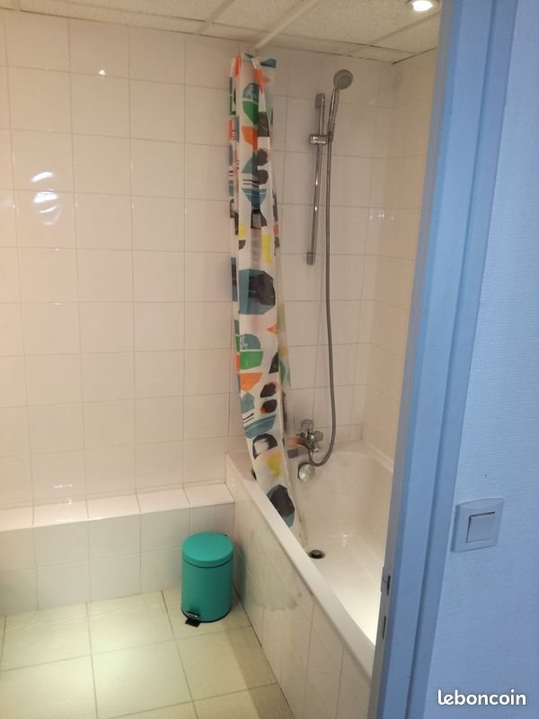 Appartement à louer, 25m², Saint-Etienne