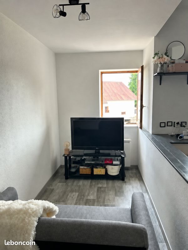 Appartement à louer, 40m², Saône