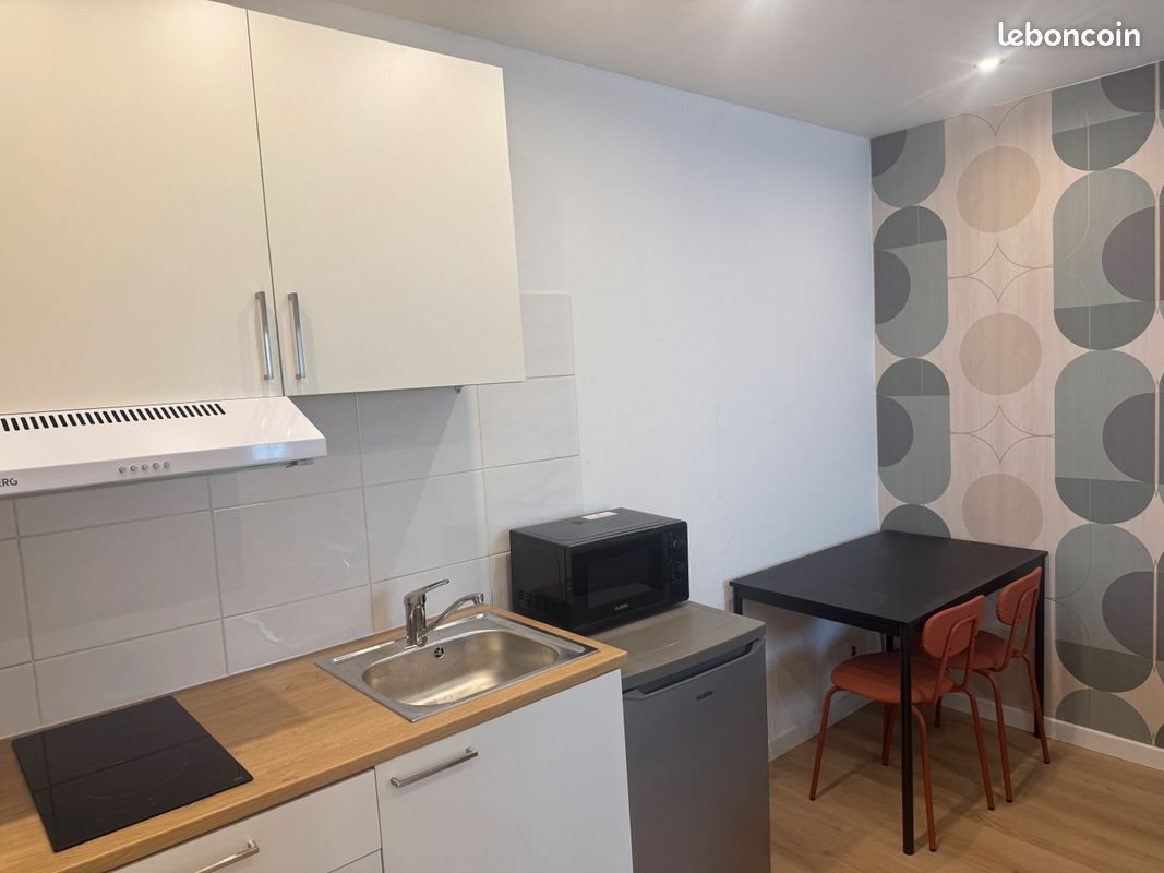 Appartement à louer, 25m², Villeurbanne