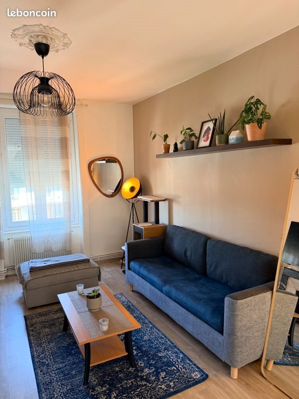 Appartement à louer, 55m², Saint-Etienne