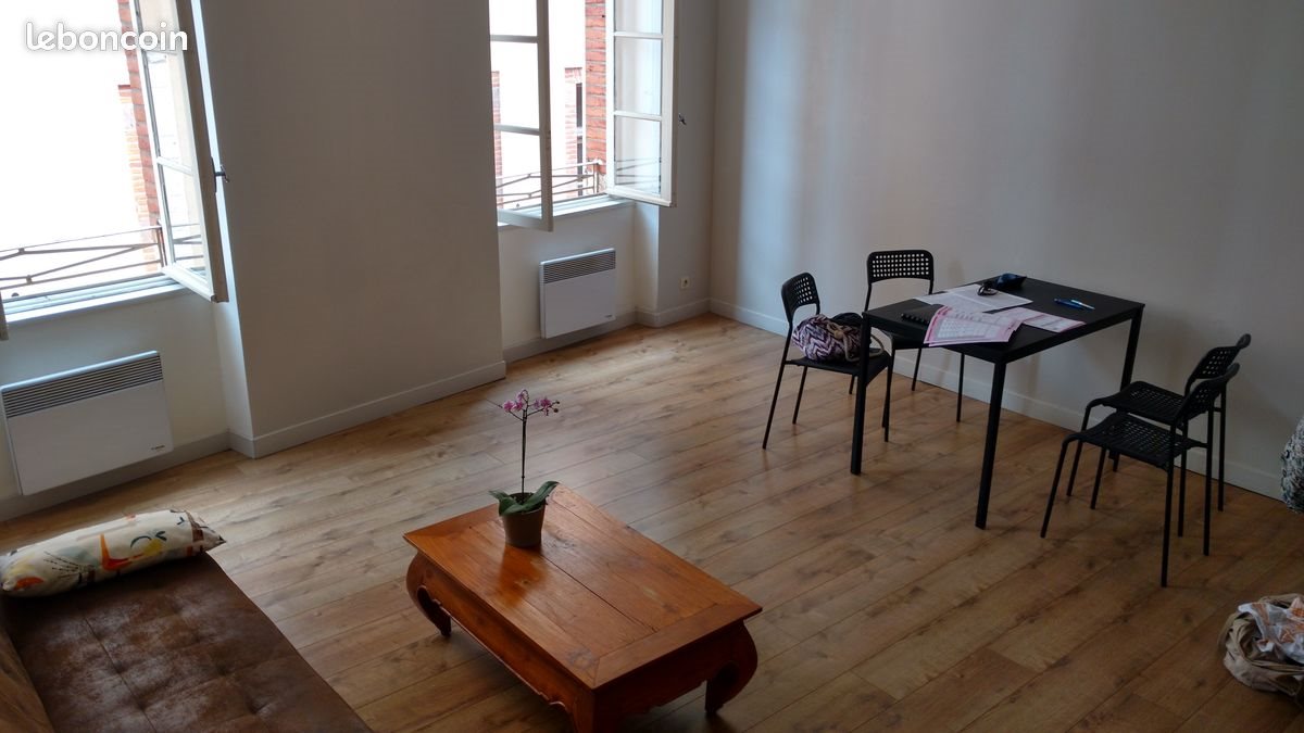 Appartement à louer, 52m², Albi