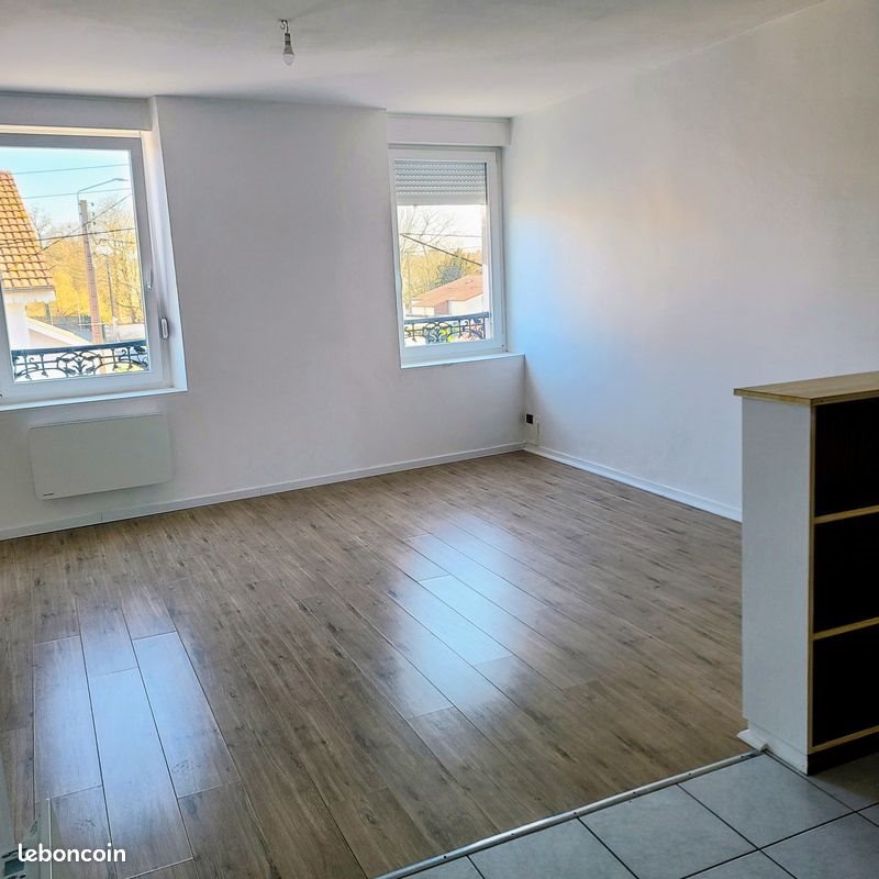 Appartement à louer, 46m², Dombasle-sur-Meurthe