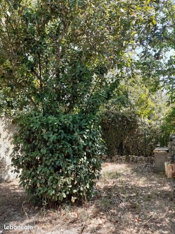 Maison à vendre, 32m², Marennes