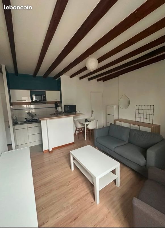 Appartement à louer, 31m², Tours