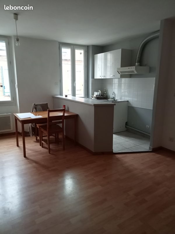 Appartement à louer, 50m², Montesquieu-Volvestre