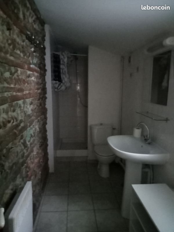 Appartement à louer, 50m², Montesquieu-Volvestre
