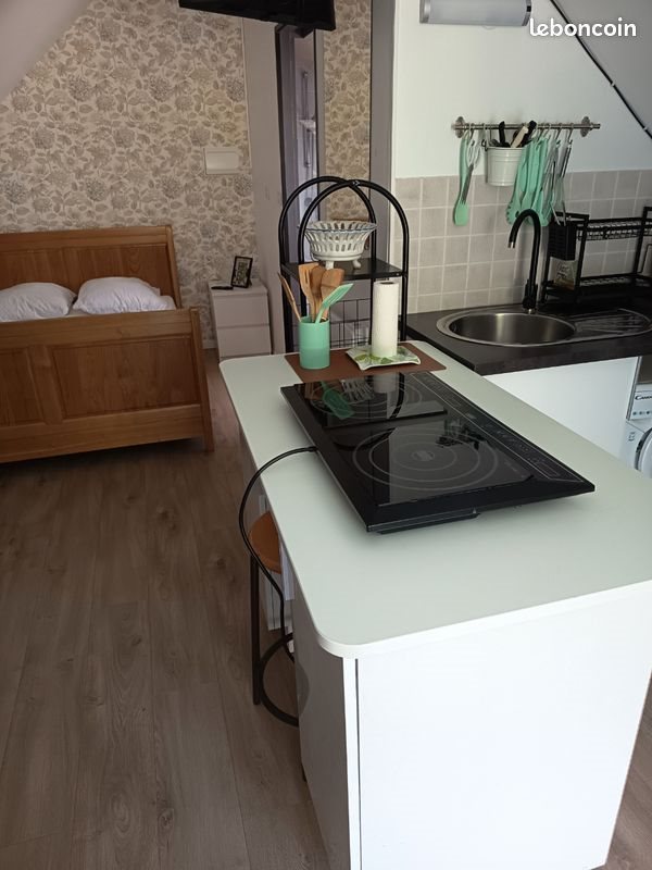 Appartement à louer, 20m², Trégastel