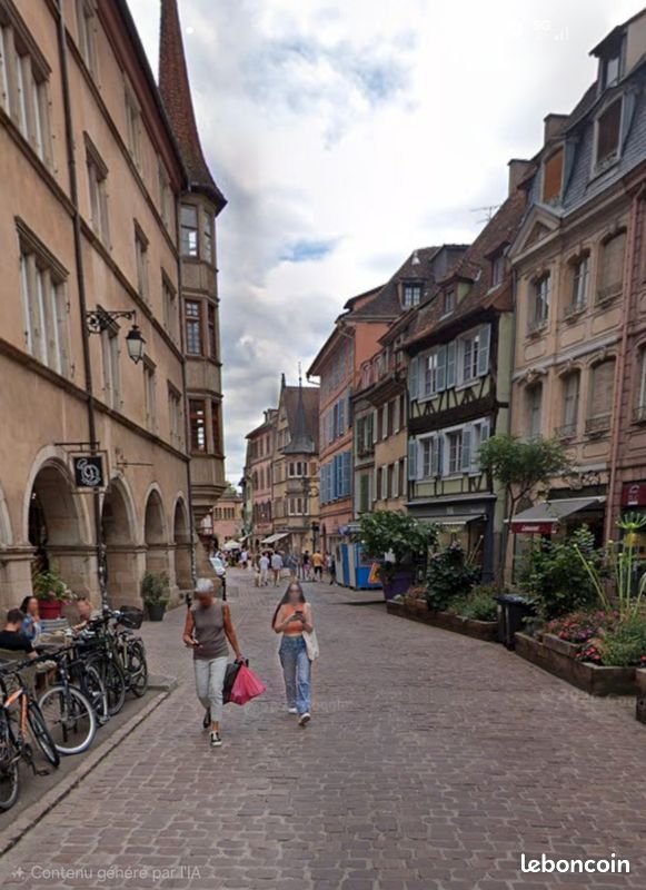 Appartement à louer, 60m², Colmar