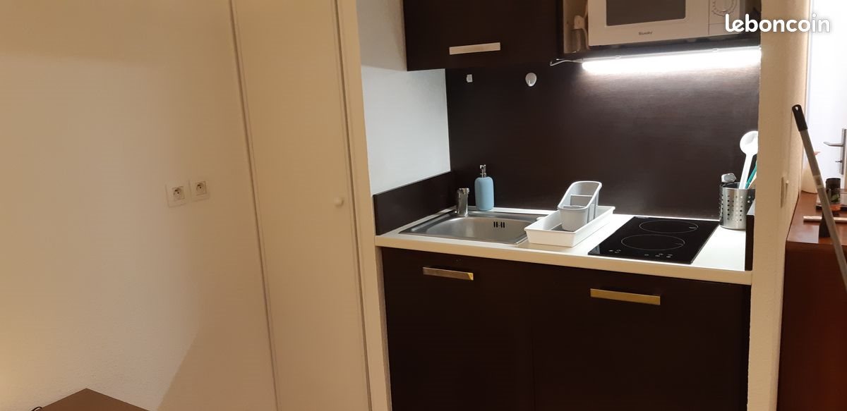 Appartement à louer, 19m², Saint-Martin-le-Vinoux