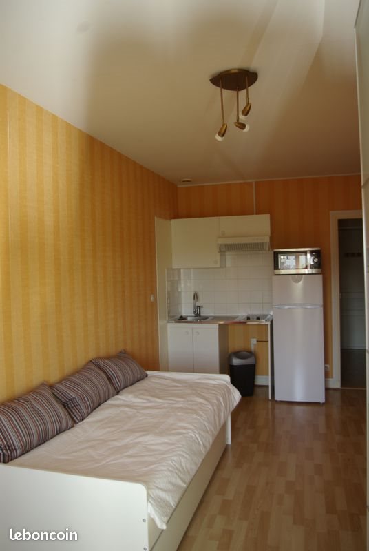 Appartement à louer, 21m², Cachan