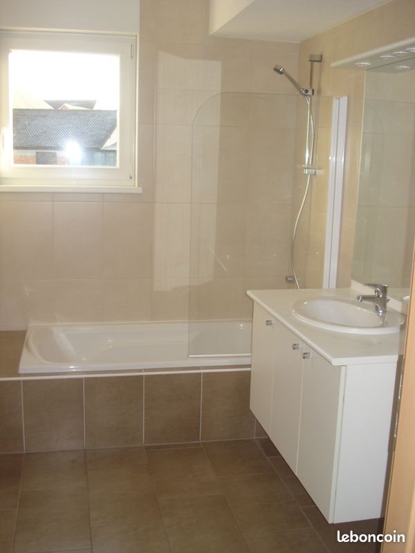 Appartement à louer, 96m², Salmbach