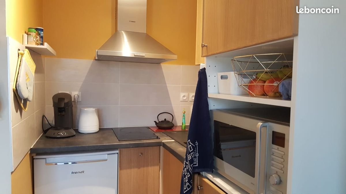 Appartement à louer, 18m², Maisons-Alfort