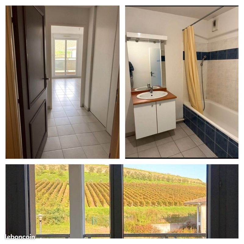 Appartement à louer, 48m², Castillon-la-Bataille