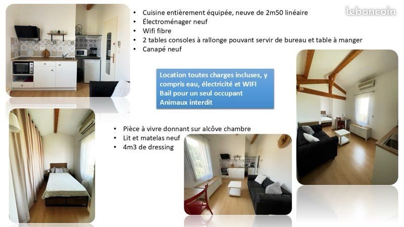 Appartement à louer, 30m², Mions
