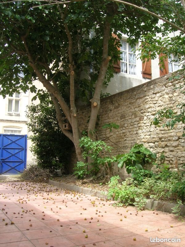 Appartement à louer, 140m², Baugy