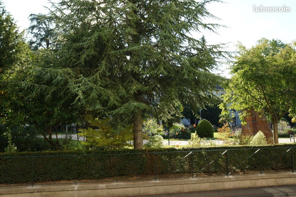 Appartement à louer, 45m², La Roche-sur-Yon
