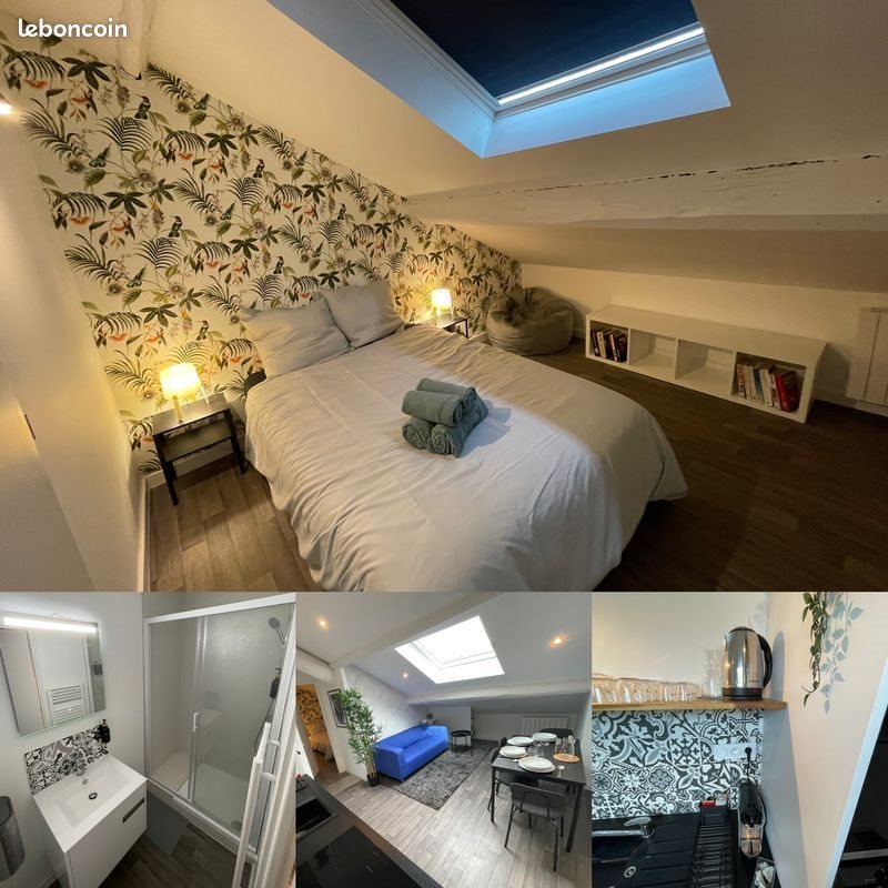 Appartement à louer, 39m², Saint-Étienne
