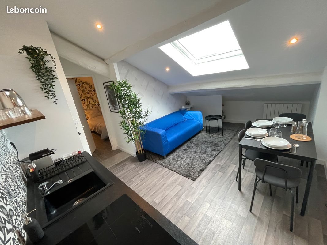 Appartement à louer, 39m², Saint-Étienne