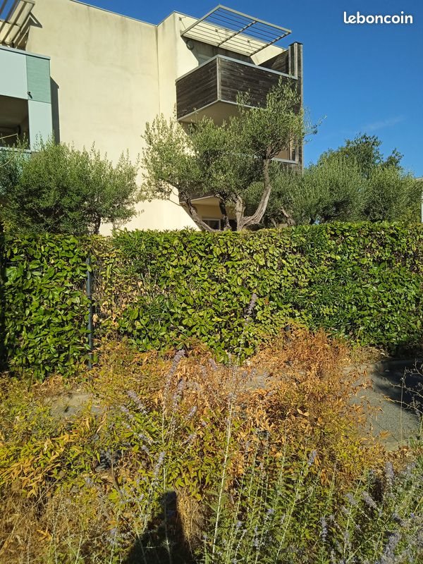 Appartement à louer, 46m², Saint-Christol-lez-Alès