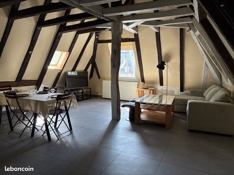 Appartement à louer, 58m², Saumur