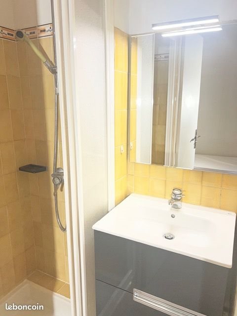 Appartement à louer, 19m², Montbrison