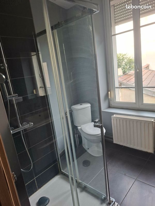 Appartement à louer, 33m², Nancy