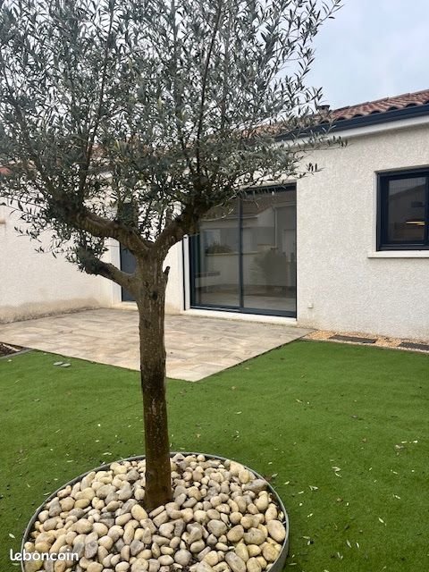 Maison à louer, 66m², Le Sequestre