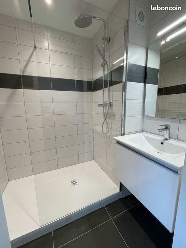 Appartement à vendre, 26m², Nancy