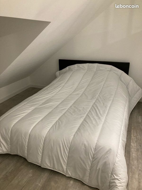 Appartement à louer, 50m², Chinon