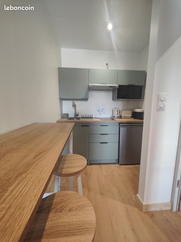 Appartement à louer, 16m², Vichy