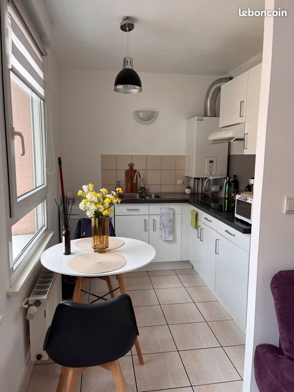 Appartement à louer, 30m², Colmar
