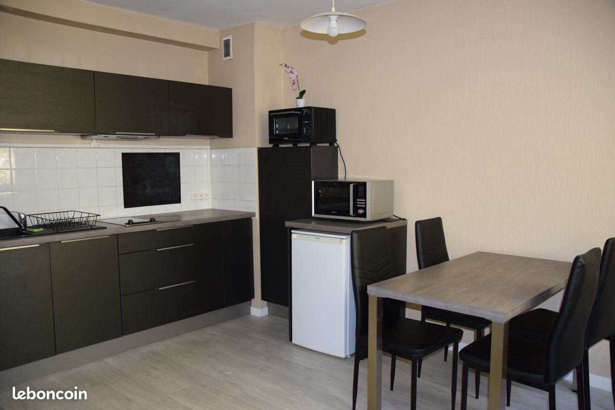 Appartement à louer, 31m², Saint-Etienne