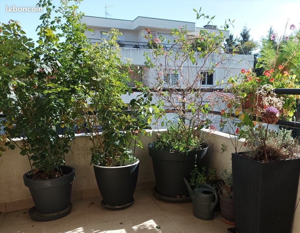 Appartement à louer, 63m², Bischwiller