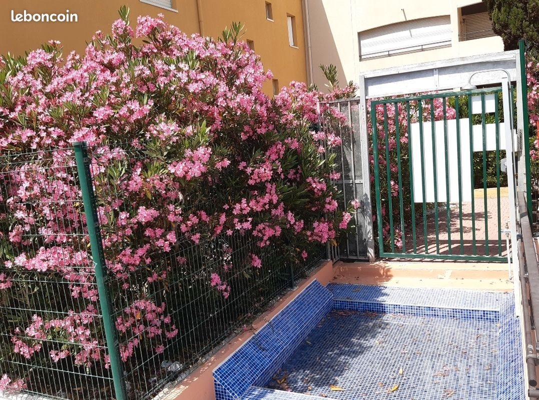 Appartement à louer, 40m², Agde (Cap d'Agde)